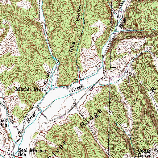 Topographic Map of Rice Hollow, TN