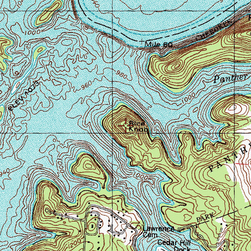 Topographic Map of Rice Knob, TN