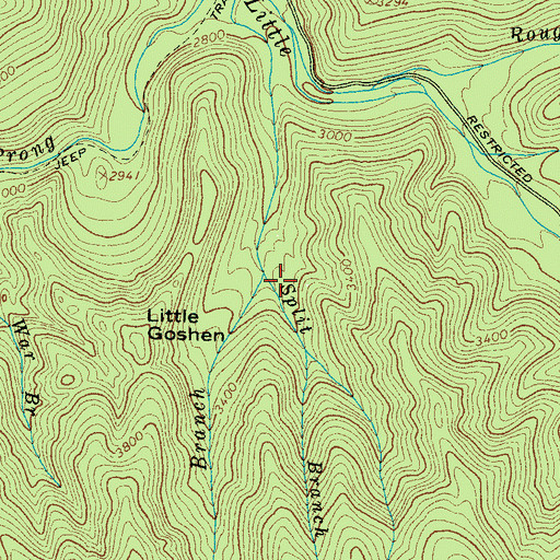 Topographic Map of Rich Branch, TN