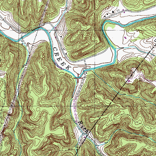 Topographic Map of Rich Branch, TN