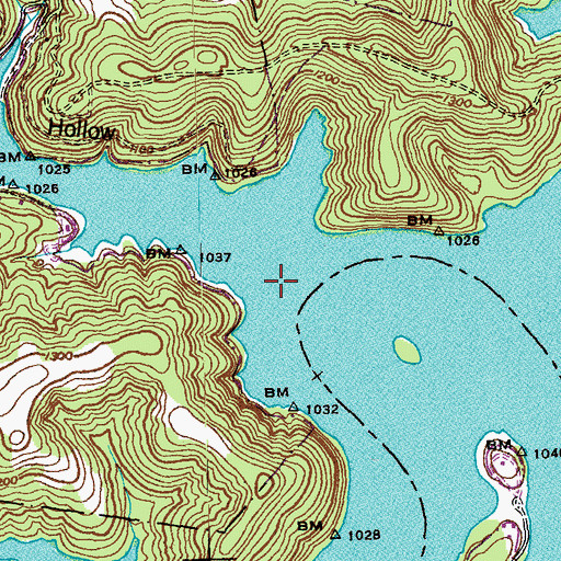 Topographic Map of Rich Hollow, TN