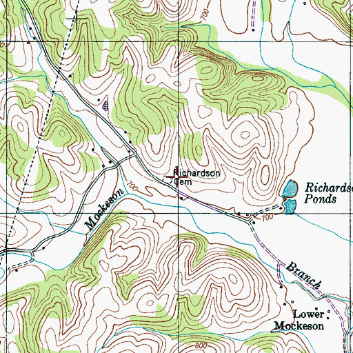 Topographic Map of Richardson Cemetery, TN