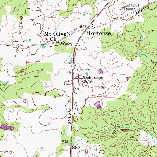 Topographic Map of Richardson Cemetery, TN