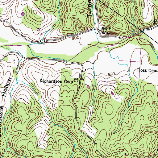 Topographic Map of Richardson Cemetery, TN