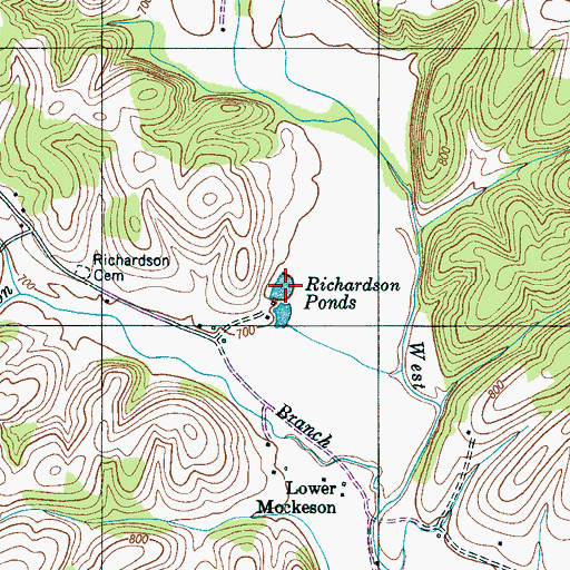 Topographic Map of Richardson Ponds, TN