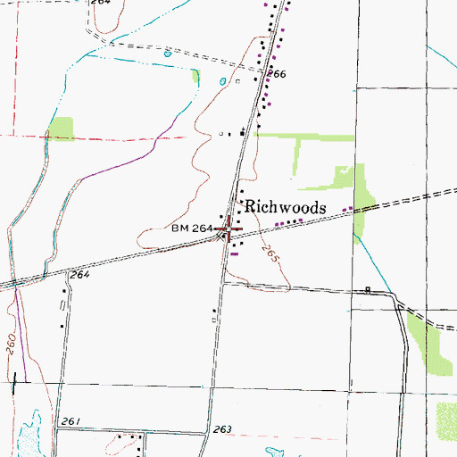 Topographic Map of Richwoods, TN