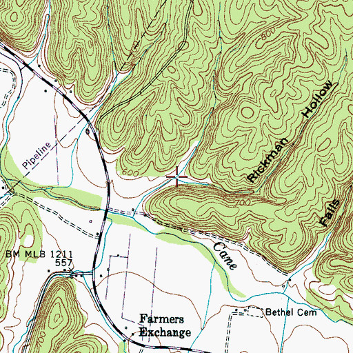 Topographic Map of Rickman Hollow, TN