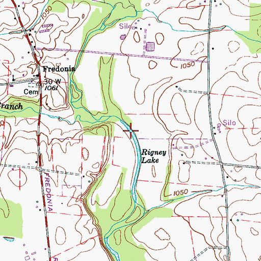 Topographic Map of Rigney Lake, TN