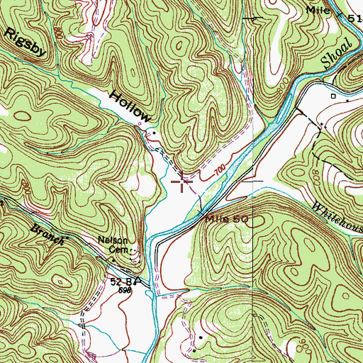 Topographic Map of Rigsby Hollow, TN