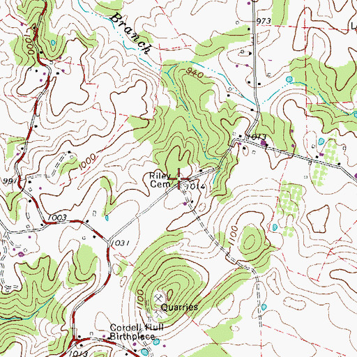 Topographic Map of Riley Cemetery, TN
