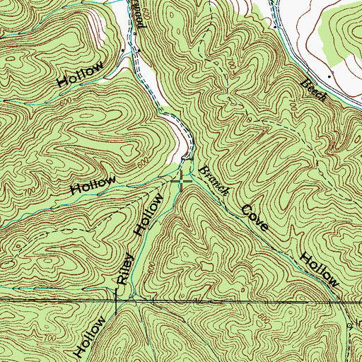 Topographic Map of Riley Hollow, TN