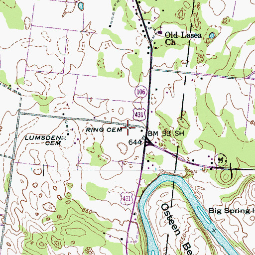 Topographic Map of Ring Cemetery, TN