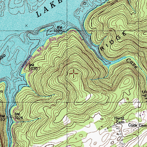 Topographic Map of River Ridge, TN