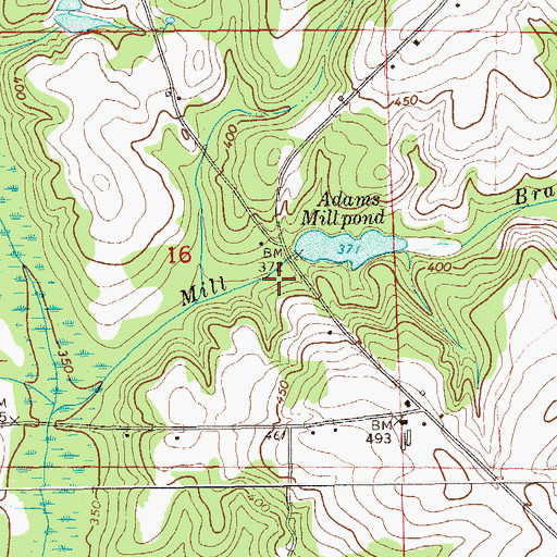 Topographic Map of Adams Mill Pond Dam, AL