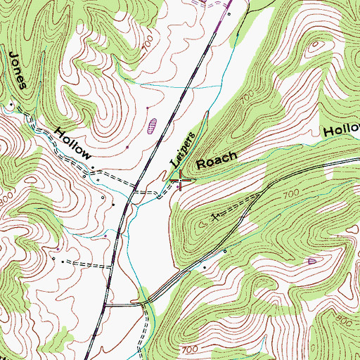 Topographic Map of Roach Hollow, TN
