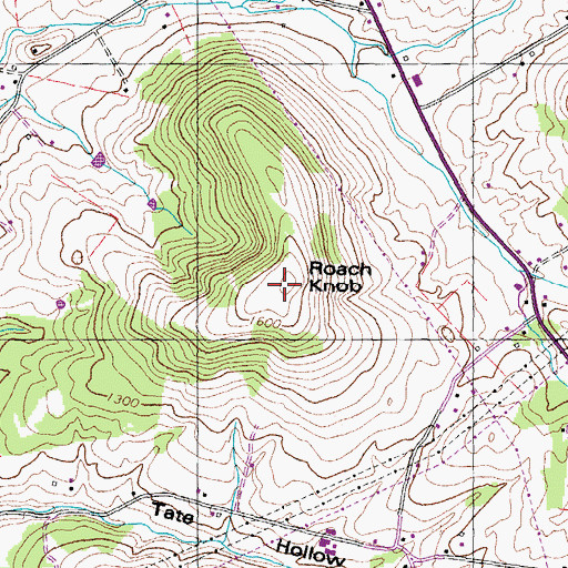 Topographic Map of Roach Knob, TN