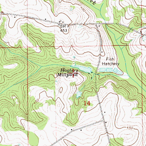 Topographic Map of Hagler Mill Pond Dam, AL