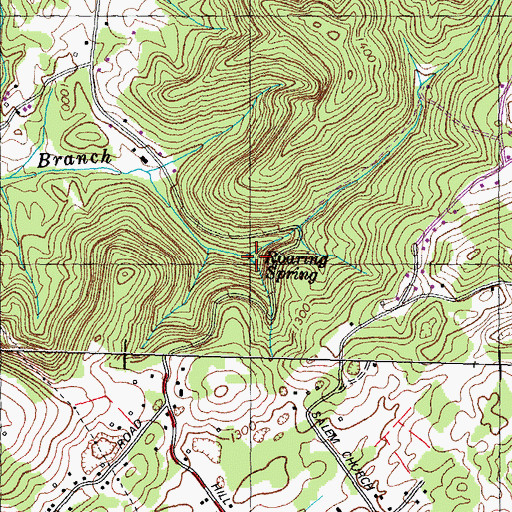 Topographic Map of Roaring Spring, TN