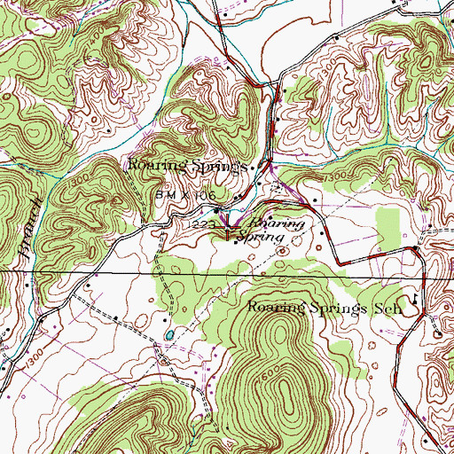 Topographic Map of Roaring Spring, TN