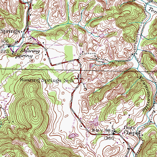 Topographic Map of Roaring Springs School, TN