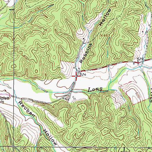 Topographic Map of Robbins Hollow, TN