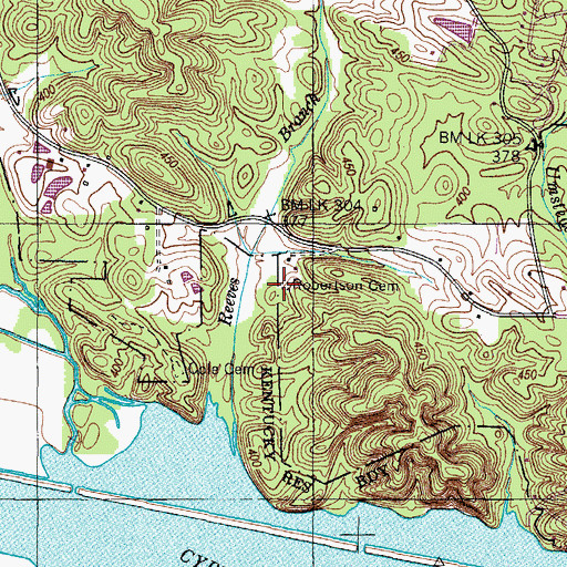 Topographic Map of Robertson Cemetery, TN