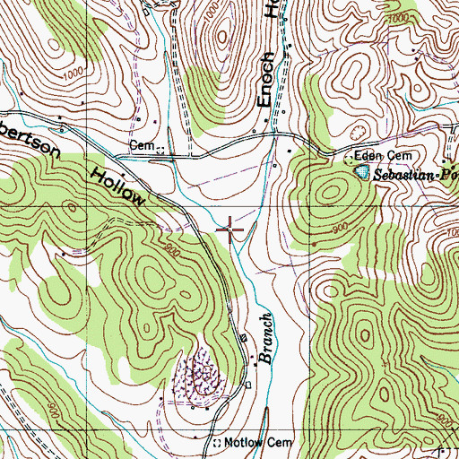 Topographic Map of Robertson Hollow, TN