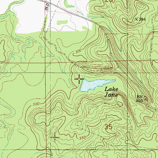 Topographic Map of Mcgowin Pond Dam, AL