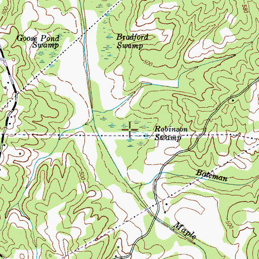 Topographic Map of Robinson Swamp, TN