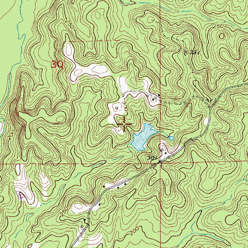 Topographic Map of Solomon Dam, AL
