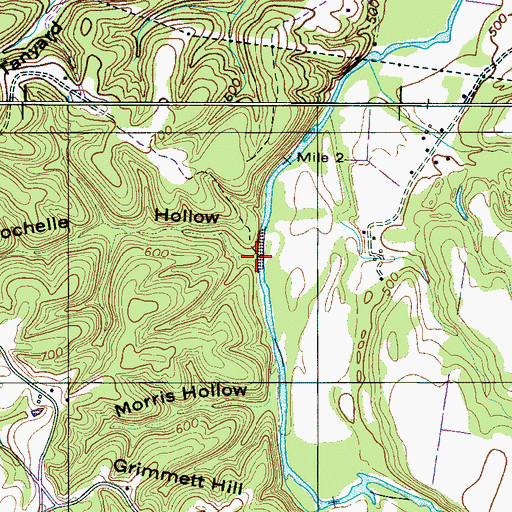 Topographic Map of Rochelle Hollow, TN
