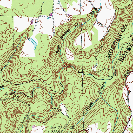 Topographic Map of Rock Bottom Branch, TN