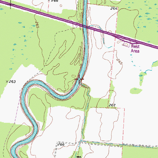 Topographic Map of Rock Slough, TN