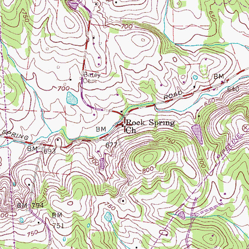 Topographic Map of Rock Spring Church, TN
