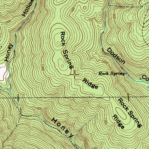 Topographic Map of Rock Spring Ridge, TN
