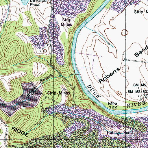 Topographic Map of Rocky Branch, TN