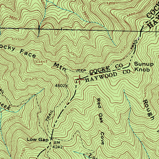 Topographic Map of Rocky Face Mountain, TN