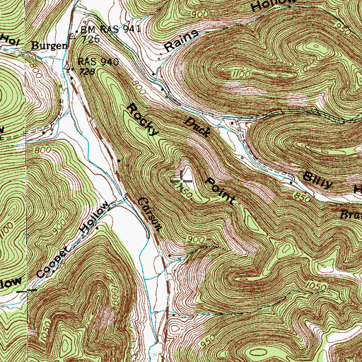 Topographic Map of Rocky Point, TN