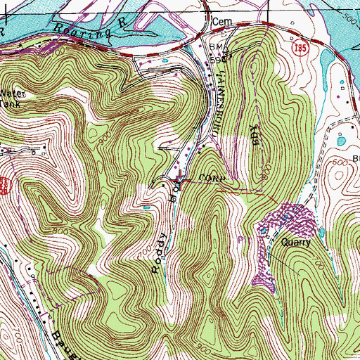 Topographic Map of Roddy Hollow, TN