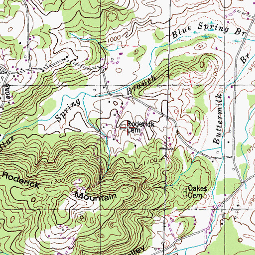 Topographic Map of Roderick Cemetery, TN
