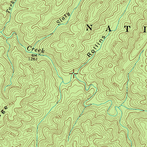 Topographic Map of Rollins Hollow, TN