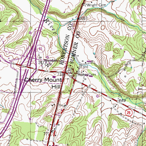 Topographic Map of Roney Cemetery, TN