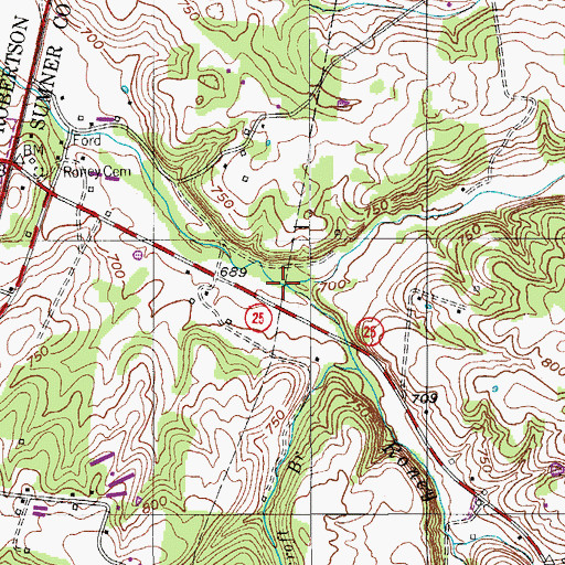 Topographic Map of Roney Creek, TN