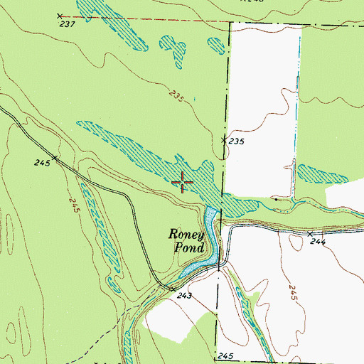Topographic Map of Roney Pond, TN