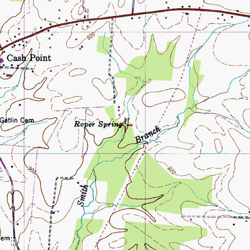 Topographic Map of Roper Spring, TN