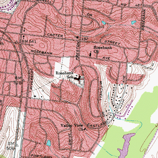 Topographic Map of Rosebank Elementary School, TN