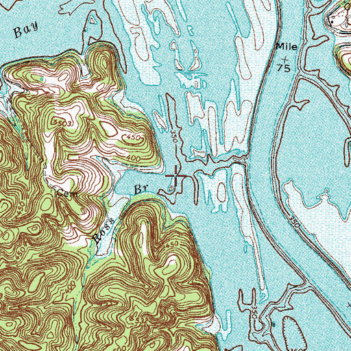 Topographic Map of Ross Branch, TN