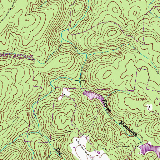 Topographic Map of Rough Mountain Branch, TN