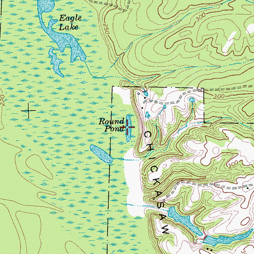 Topographic Map of Round Pond, TN