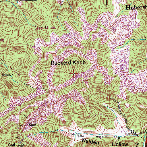 Topographic Map of Ruckerd Knob, TN